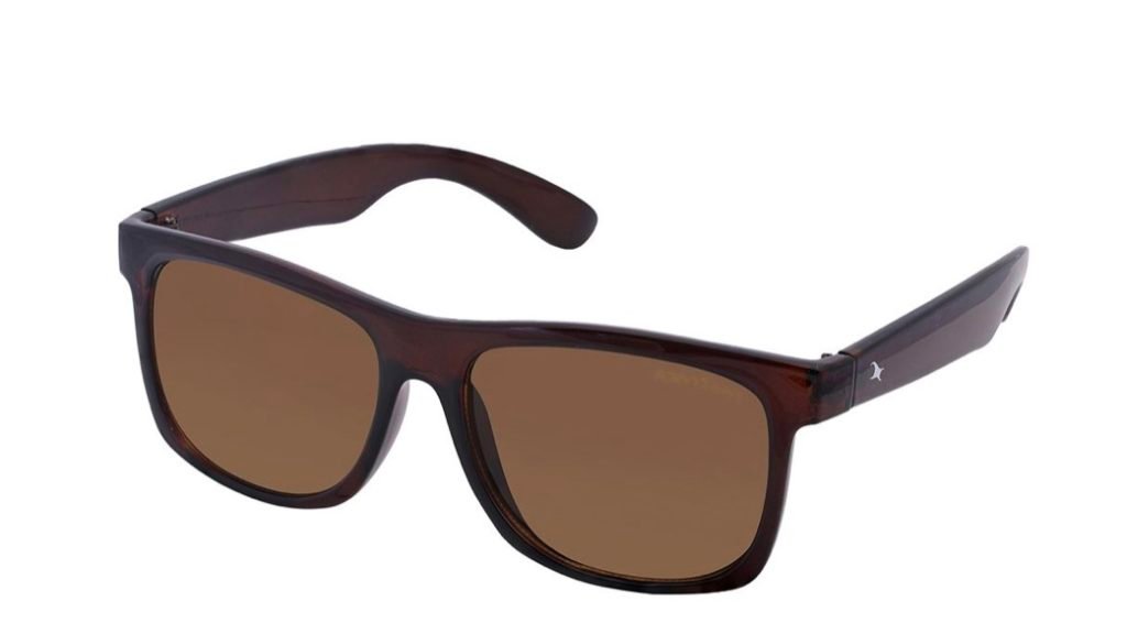 brown wayfarers