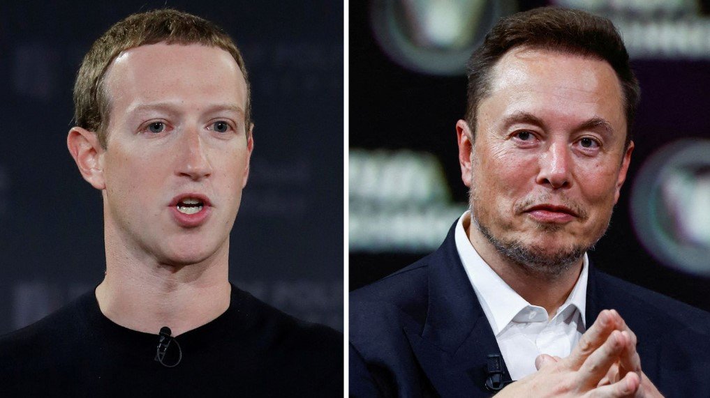 zuckerberg musk cage fight match