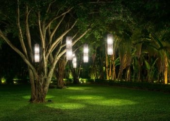 VAILO introduces wildlife-friendly LED light for outdoor areas