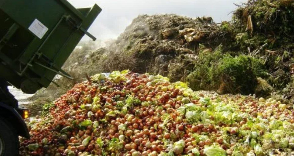 How the World Wastes an Astonishing Amount of Food