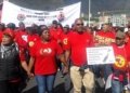 South African Labor Union Challenges New Health Law in Court