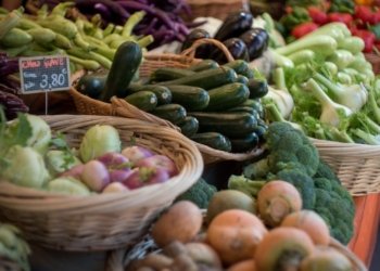 Farmers’ Market Introduces Nutritious Food for Kids