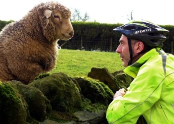 Stewart Black Ascends to the Pinnacle of National Racing Rankings