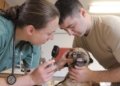 The Compassionate City Vet: Healing Pets One House Call at a Time