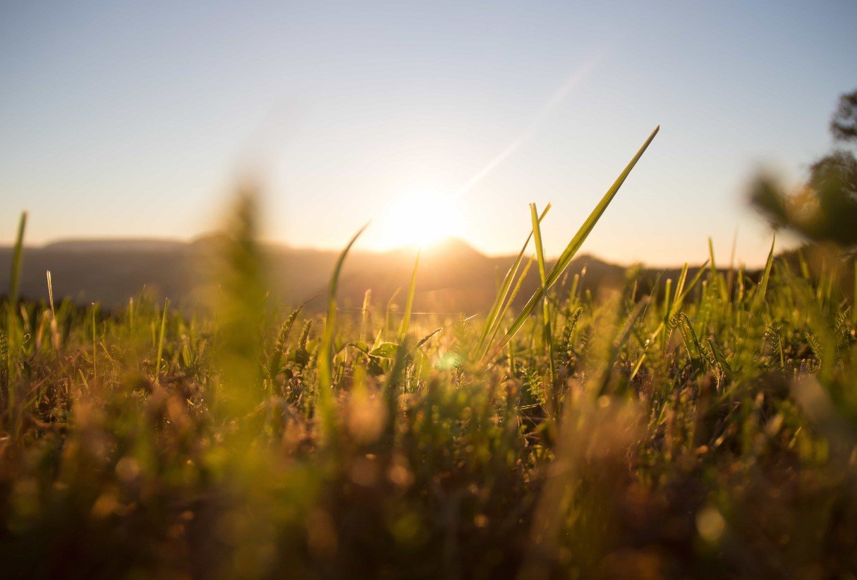 Rising Summertime Food Costs in Japan: A Growing Concern