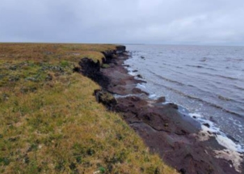 saltwater intrusion climate change coastal groundwater contamination