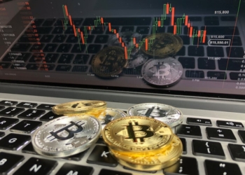 Australians Lose $122 Million to Crypto Scams in the Past Year