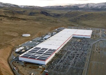 German Drugstore Chain Halts Tesla Purchases Over Musk’s Trump Support