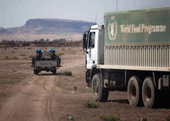 World Food Programme Halts Operations in Gaza Following Gunfire Attack on Aid Vehicle