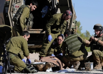 australian government review israeli military aid worker deaths