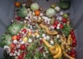 CSIRO Validates Food Recycle’s Technology to Transform Food Waste into Animal Feed