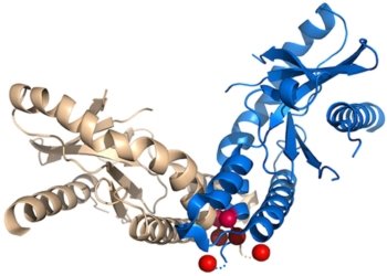 STING Protein: A New Key Player in Aging