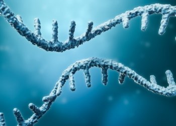 The Future of mRNA Therapeutics: Market Trends and Forecast to 2033