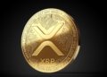 XRP Price Faces Potential Crash Amid Chris Larsen’s Endorsement of Kamala Harris