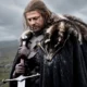 Ned Stark Hand of the King kit Game of Thrones Legends