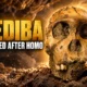 Australopithecus sediba Malapa boy discovery not human ancestor
